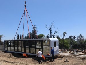 Nano-Nest-Crane